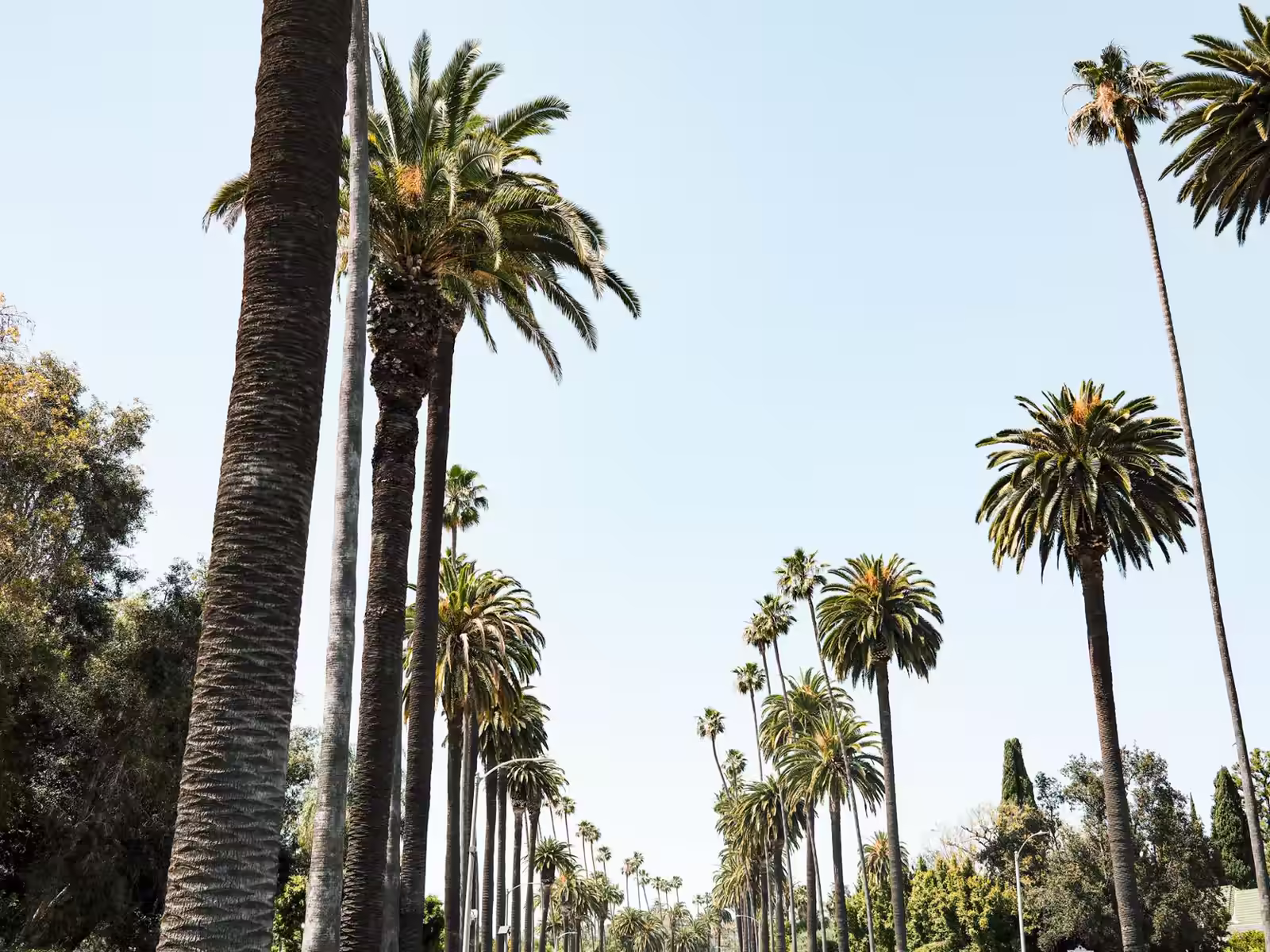 LAX to Disneyland Group Transportation Guide
